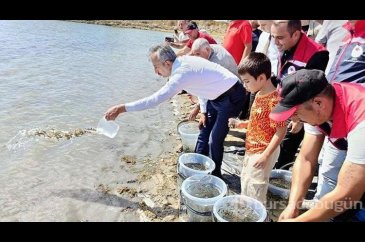 Edirne'de 30 bin yavru sazan gölete bırakıldı
