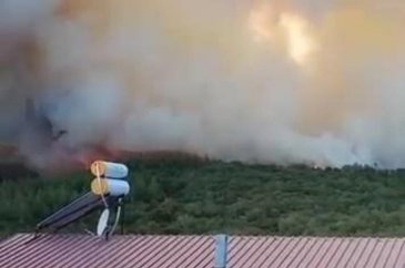 Bursa'da orman yangını
