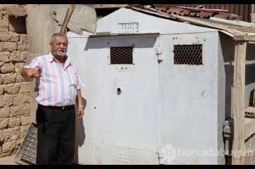 Banka kasası değil güvercin kümesi
