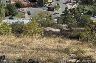 Kağıthane'de ağaçlık alan alev alev yandı