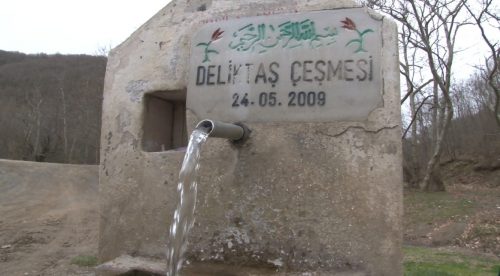 diş taşlarını evde temizleme