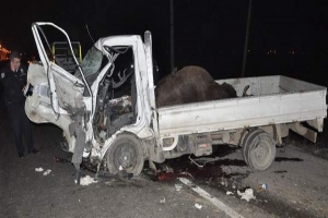 270 PROMİL ALKOLE 2 CAN