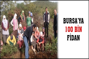 YENİŞEHİR'E 100 BİN FİDAN