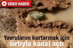 İŞTE ANNELİK DUYGUSU BU