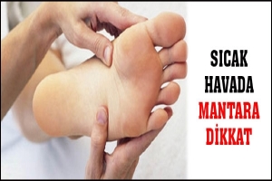 SICAK HAVADA MANTARA DİKKAT
