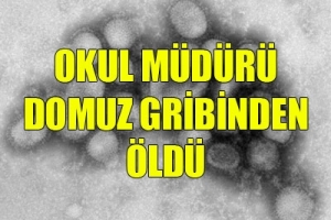 OKUL MÜDÜRÜ DOMUZ GRİBİNDEN ÖLDÜ
