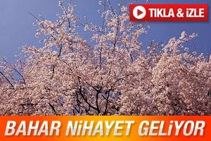 BAHAR NİHAYET GELİYOR