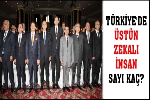 TÜRKİYE'DE ÜSTÜN ZEKALI İNSAN SAYI KAÇ?