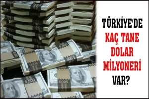 TÜRKİYE'DE KAÇ TANE DOLAR MİLYONERİ VAR?