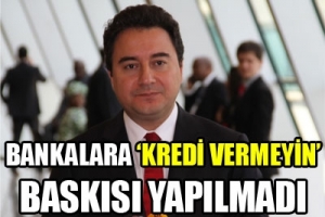 BABACAN 'KREDİ VERMEYİN' İDDİALARINI YALANLADI