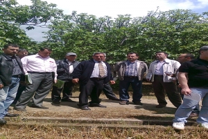 TARIM MÜDÜRLÜĞÜNDEN SİYAH İNCİR UYARISI