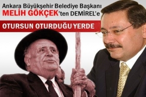 GÖKÇEK'TEN DEMİREL'E ÇAĞRI