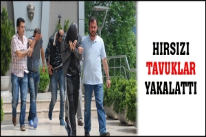 HIRSIZI TAVUKLAR YAKALATTI