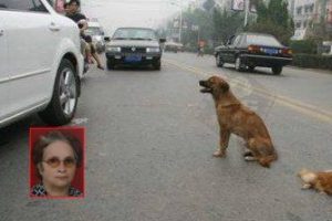 Köpeğe çarpmamak için takla atan çifti, ölüm ayırdı