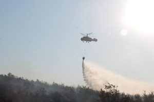 Sigara izmariti 2 hektarlık alanı kül etti