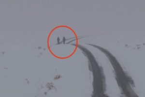 Her gün 4 kilometre yol yürüyorlar