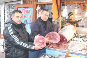 Marmara'dan dev orkinos çıktı