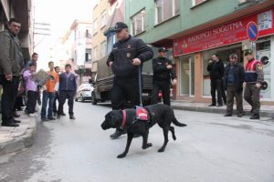 Gemlik yangınında sabotaj ihtimali mi var?