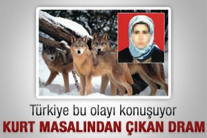 Kurt masalından çıkan dram