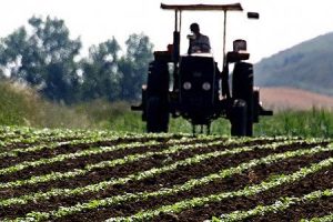 Tarım sektörü istikrarı buldu