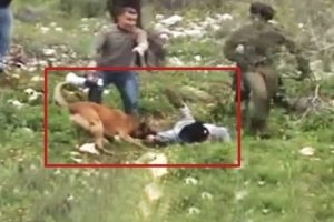 İşte insana yapılan en büyük vahşet!