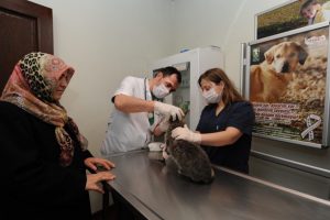 Dünyanın ilk hayvan hastanesi tekrar faaliyette