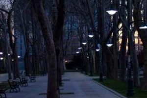Parkta hayat kadınıyla zorla seks!