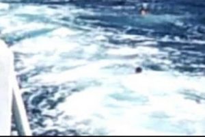 Feribottan denize atlayan çocukların tehlikeli oyunu