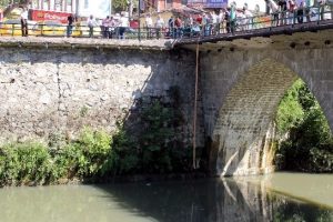Belediyeden balık kurtarma operasyonu