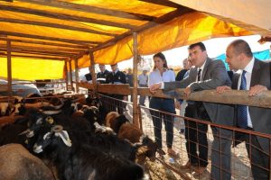 Kurban bayramı hareketliliği pazara yansıyor