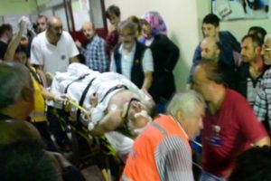 Kestane ağacından düştü