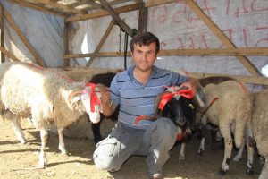 Fiyatlar düştü, ilgi azaldı