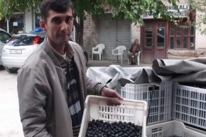 Zeytin üreticisine ikinci şok