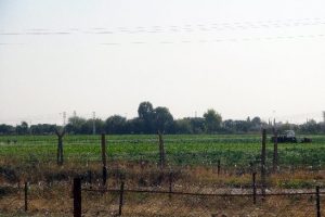 Sınırda sessiz bekleyiş