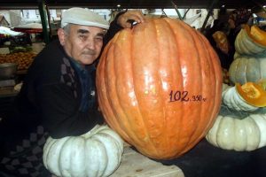 102 kiloluk bal kabağı yetiştirdi