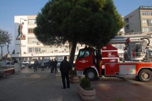 Ağaçta mahsur kalan kedinin imdadına itfaiye koştu