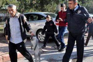 Sokakta maymun dehşeti