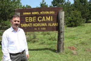 ''Çam'' nöbeti