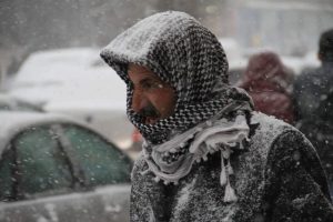 Van'da kara kış hayatı durdurdu