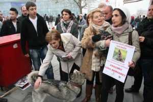 Hayvanseverlerden kan bağışı