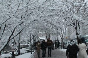 Bursa'ya kuvvetli kar uyarısı!