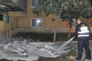 5 katlı apartmanda can pazarı