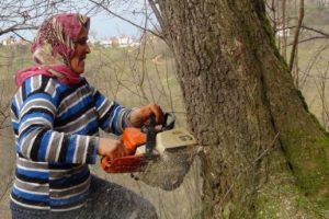 Bunun adı fedakarlık