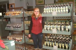 Organik zeytin yağ üretiliyor