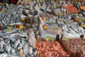 Balık kanser yapıyor mu? Balıkta civa var mı? ÖZEL HABER