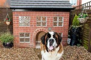Köpeği için 5 bin liralık kulübe
