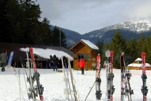 Ilgaz'a tatilci akını