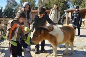Doğal Yaşam Parkı'na ziyaretçi akını