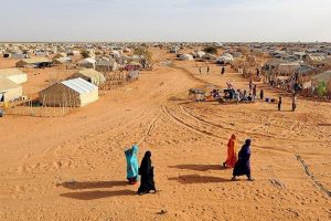 ''Mali'de savaş yok''