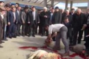 Muammer Güler için 29 kurban kesildi